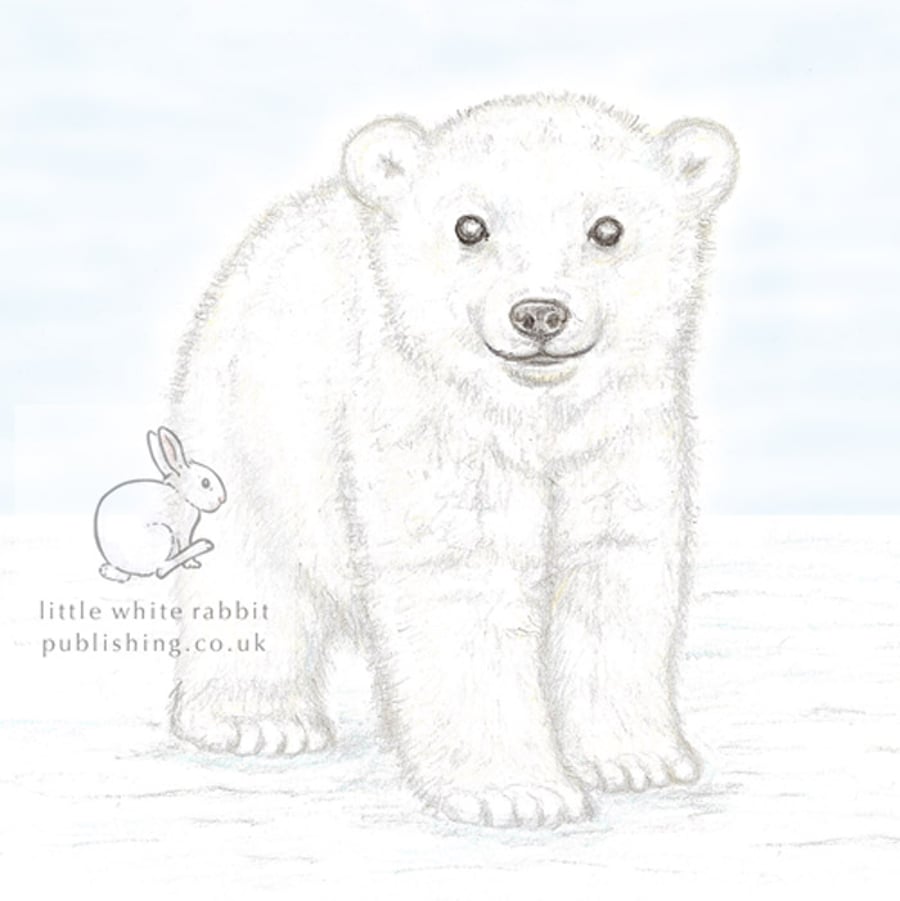 Polar Bear Cub - Blank Card