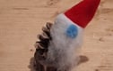 Christmas Gonks