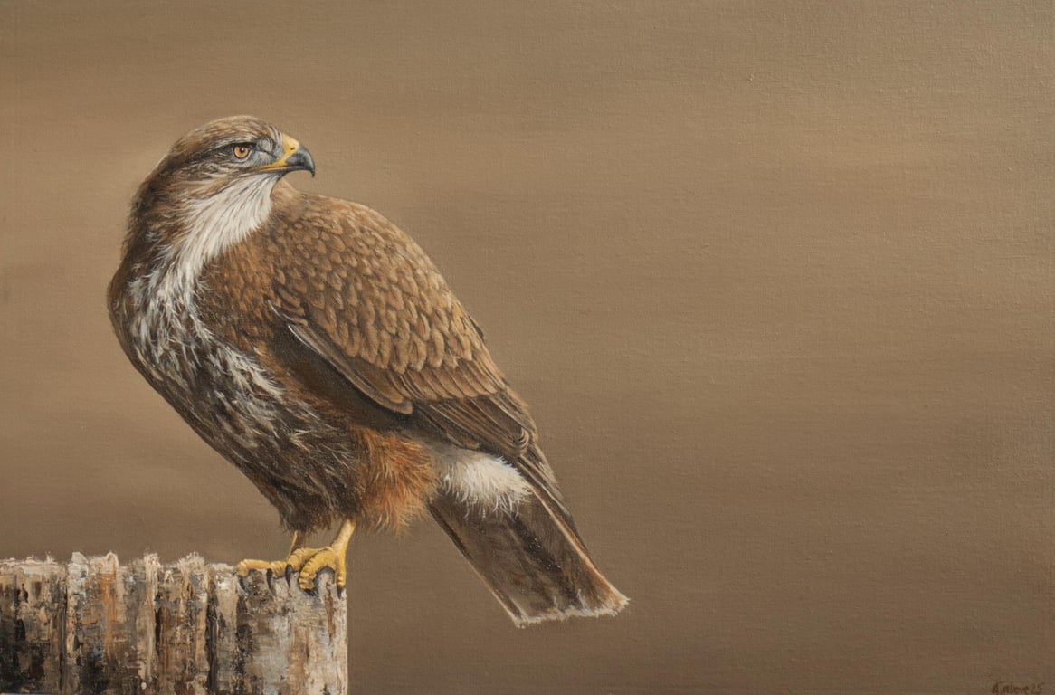 Buzzard Oil Painting, Framed Original Artwork, Realistic Art, Birds of Prey