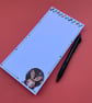 Hedgehog notepad. 100 Sheets. DL 105 x 210mm
