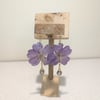 Preserved purple flowers 