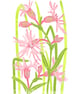 Ragged Robin Wild Flower - Limited edition Linocut Print - Image 1