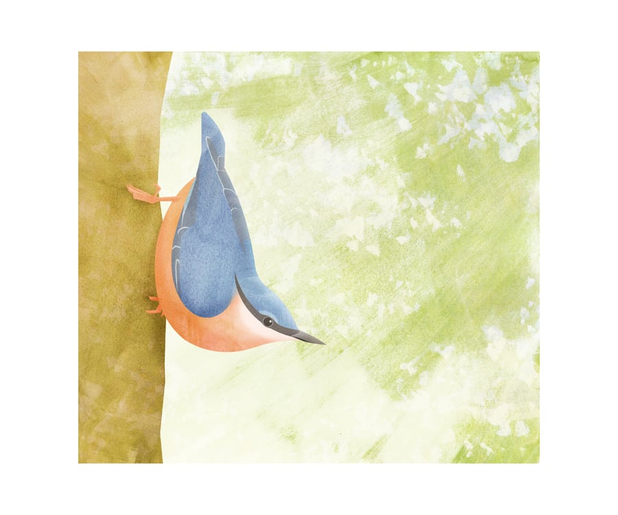 Nuthatch (12" x 10" gouache and digital collage)