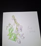 Original Handpainted Greetings Card- Bush Vetch