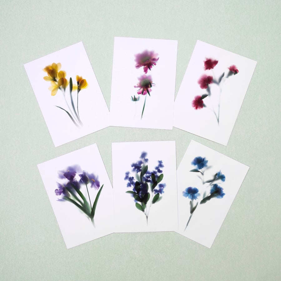 Pack of 6 floral postcard with assorted flowers