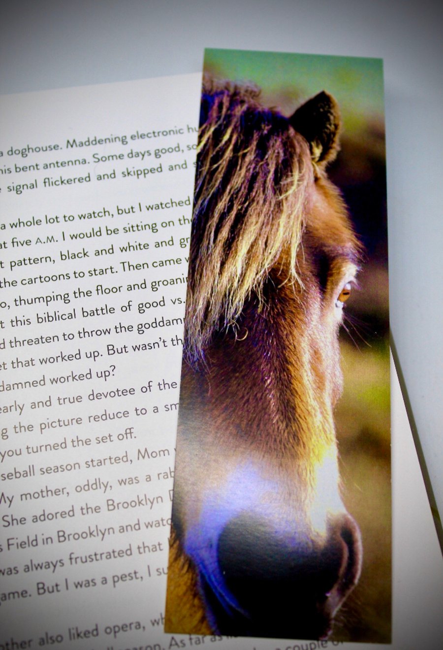 Horse Bookmarks Photographed Wildlife Bookmark Horse Gift Bookmark Animal Gifts 