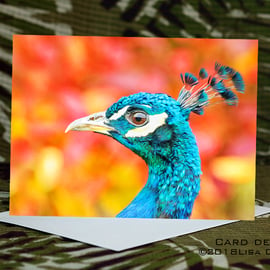 Exclusive Handmade Peacock Greetings Card on Archive Photo Paper