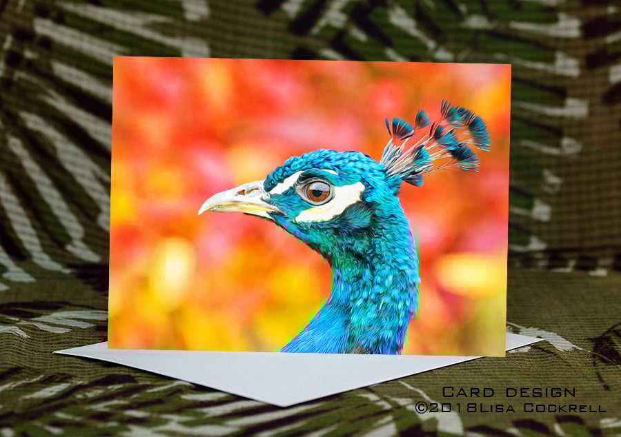 Exclusive Handmade Peacock Greetings Card on Archive Photo Paper