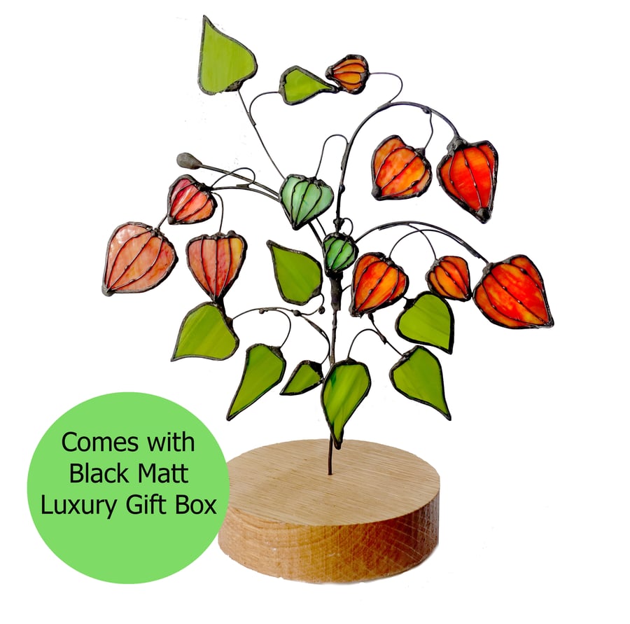 Stained Glass Chinese Lantern Plant -Physalis - Glass Art Ornament with Gift Box