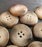 1" 25mm 40L Polyester Horn Buttons x 6 pieces - Image 2