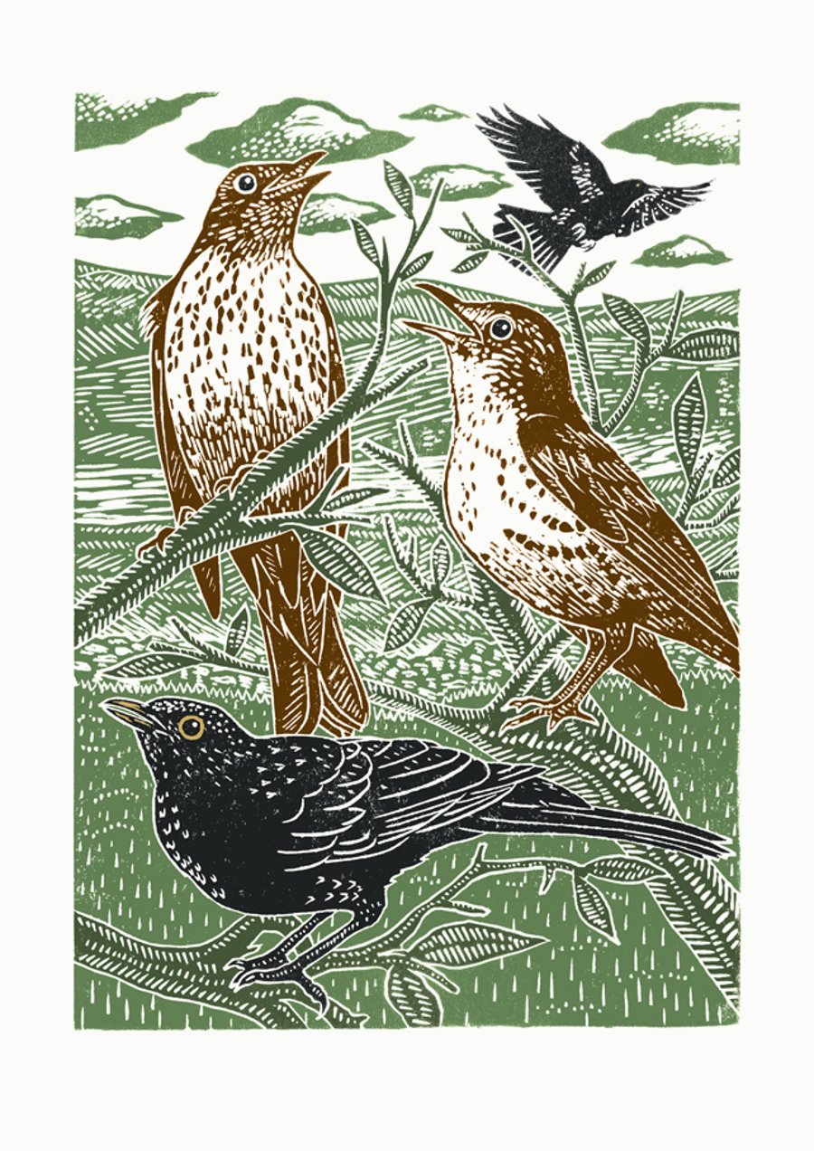 Blackbirds and Thrushes poster-print