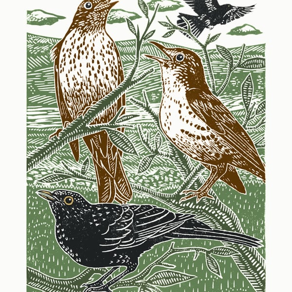 Blackbirds and Thrushes poster-print
