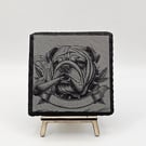 Dog engraved slate