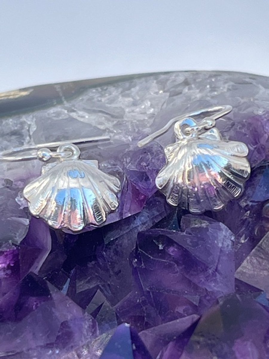 Silver shell earrings