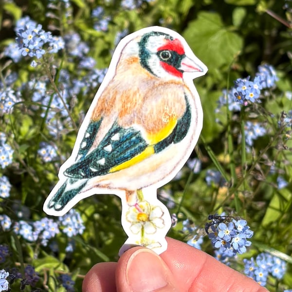 Goldfinch Sticker