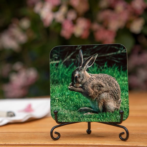 Hare Wooden Coaster - Original Animal Photo Gifts - Wildlife Scene Coaster - Dri