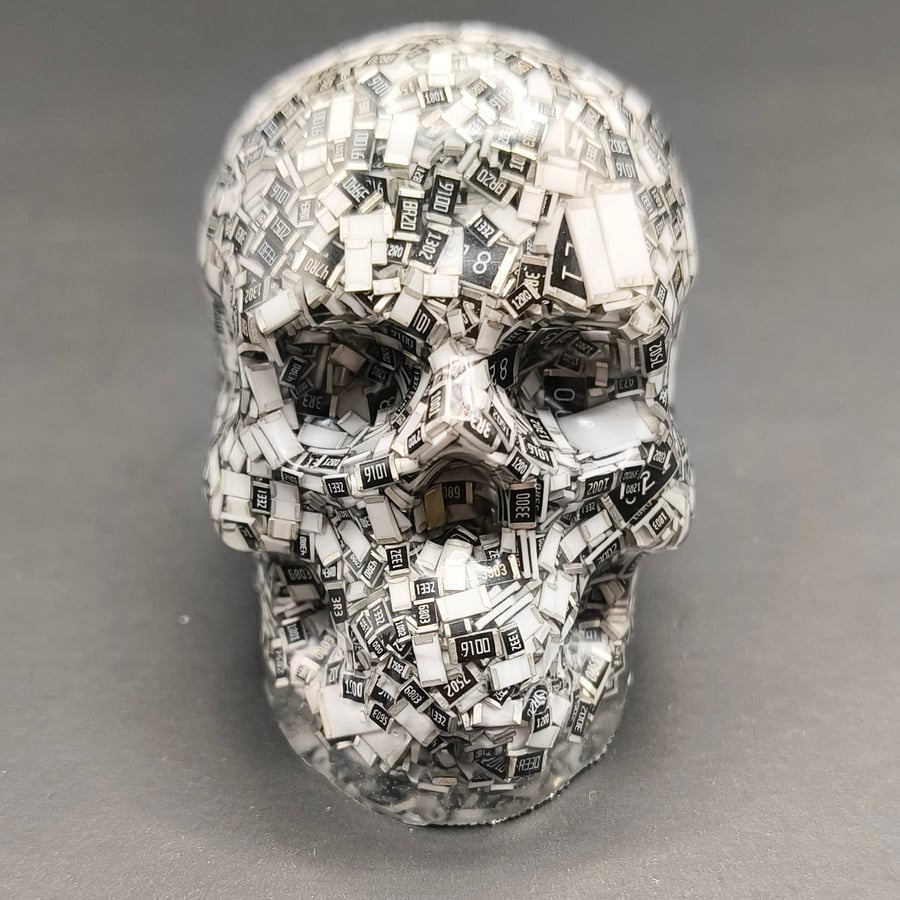 Resin Skull Filled with 1000's of Resistors