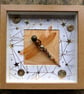 Voyager Beaded Dragonfly Box Frame - Image 1