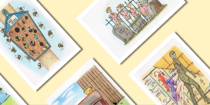Coot Cards