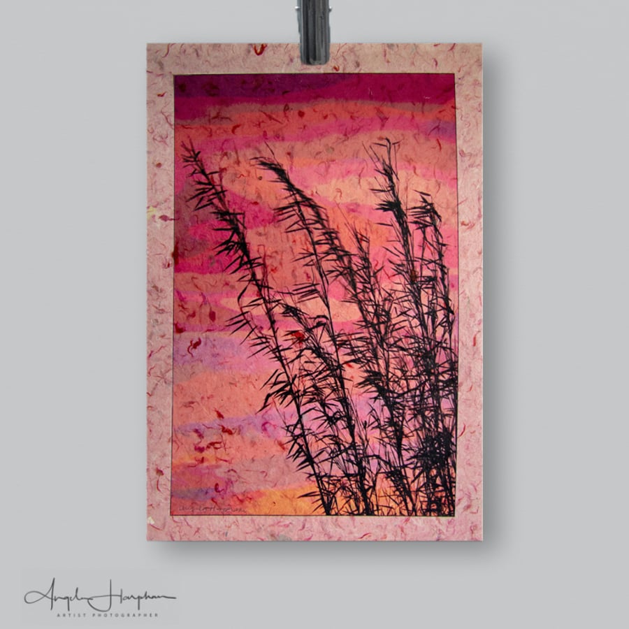 Art Photograph on Textured Paper - Sunset Bamboo 