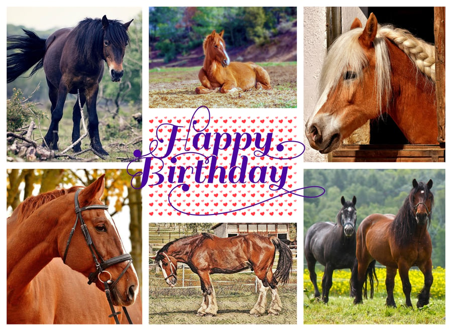 Happy Birthday Horses Card A5 