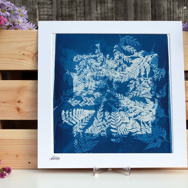 Double exposed cyanotype print