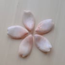 5 pcs Sakura Petal Chopstick Rests
