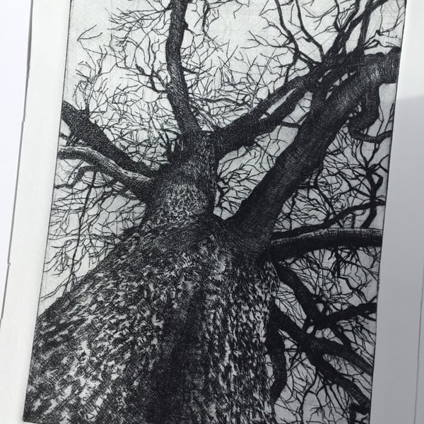 'Yeld Oak 1' original Hand Pulled Print