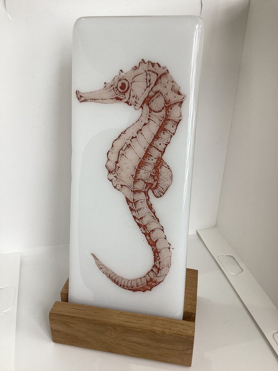 Beautiful Seahorse Creation in Fused Glass, Free Standing Solid Oak Stand 