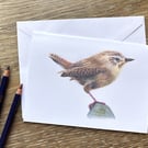 European Wren Greeting Card - Blank