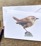 European Wren Greeting Card - Blank