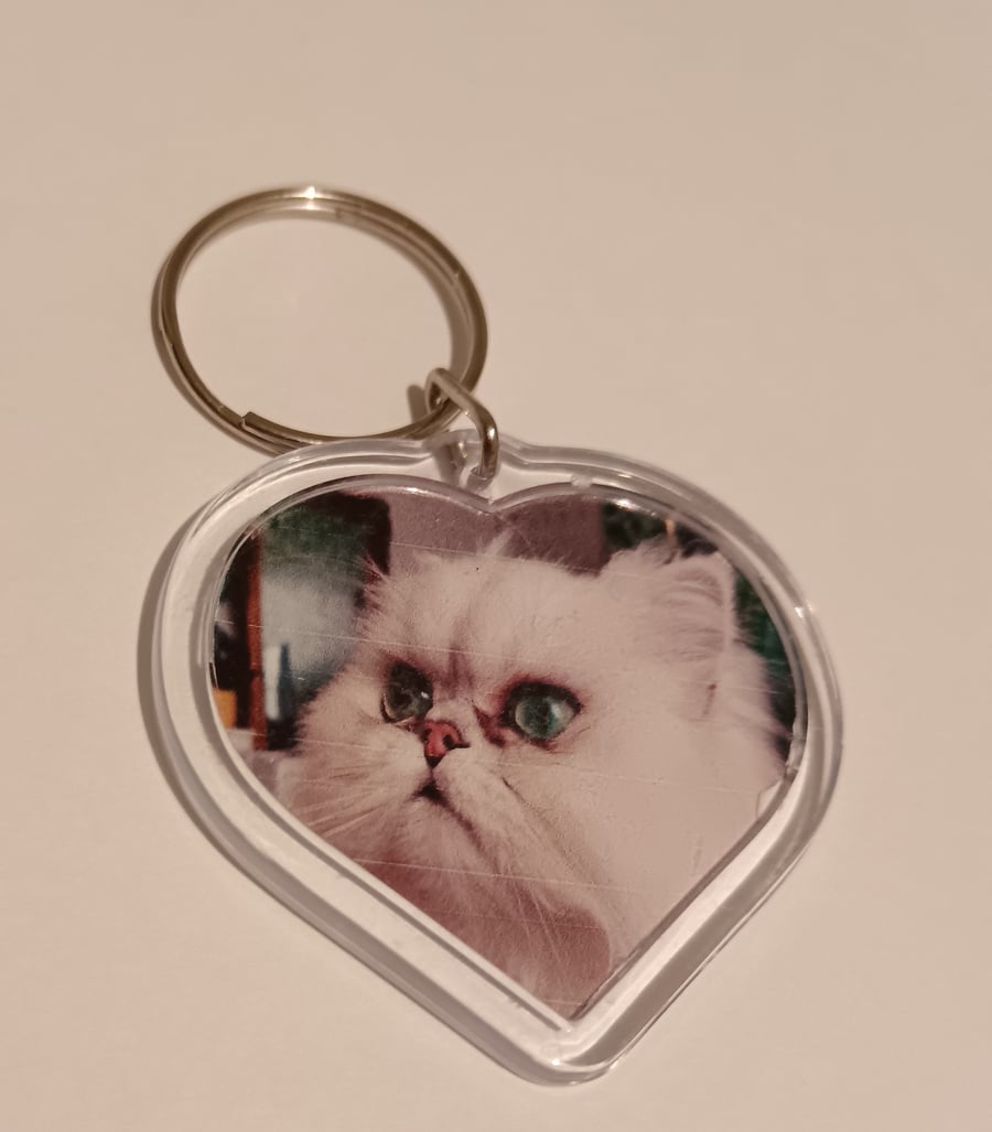 Beautiful white fluffy cat photography heart shaped keyring 