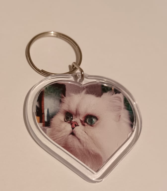 Beautiful white fluffy cat photography heart shaped keyring 