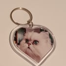 Beautiful white fluffy cat photography heart shaped keyring 