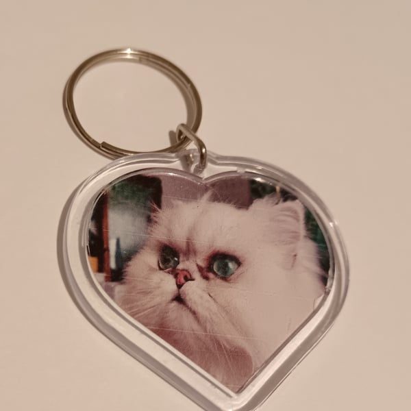 Beautiful white fluffy cat photography heart shaped keyring 