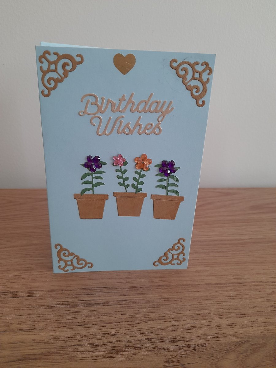 Birthday Wishes Greetings Card - Flower Pots and Flowers.