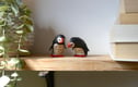 Puffins!