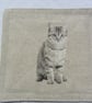 TABBY CAT PRINT COASTERS - Image 3