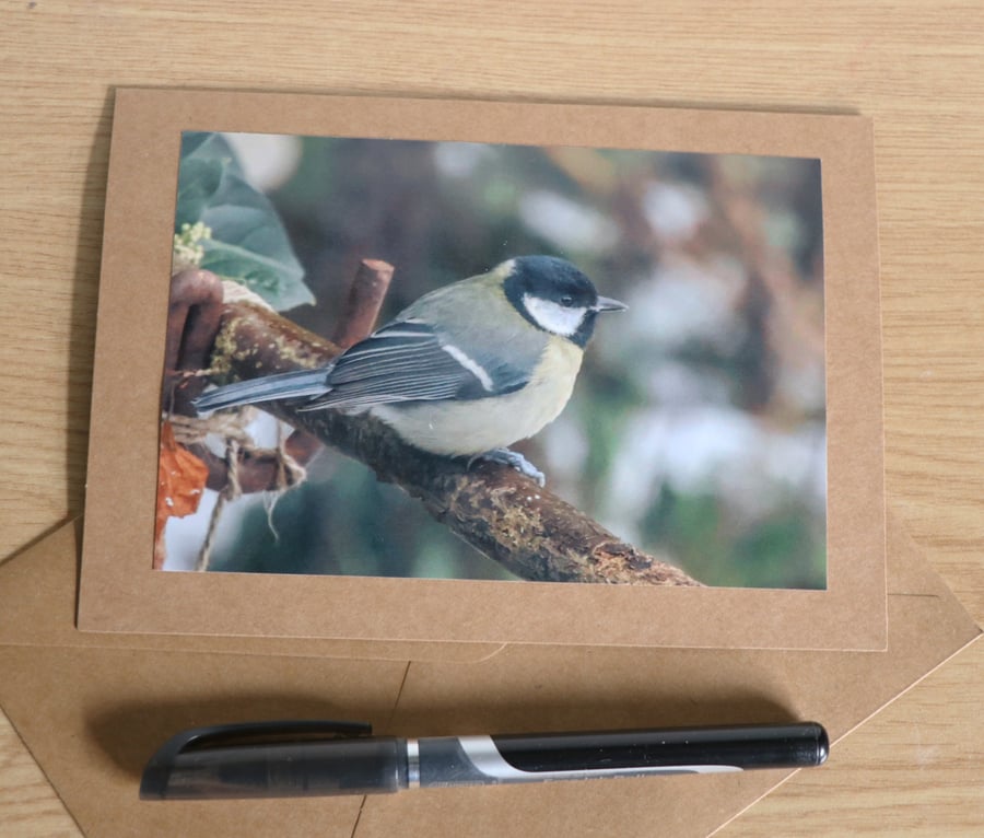 Garden Bird Greetings Card - Great Tit Photography - Blank inside.