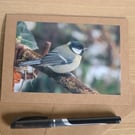 Garden Bird Greetings Card - Great Tit Photography - Blank inside.