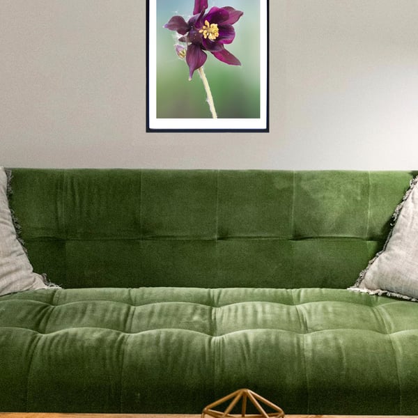 Aquilegia vulgaris flower wall art print