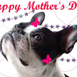 Mother's Day Card French Bulldog  