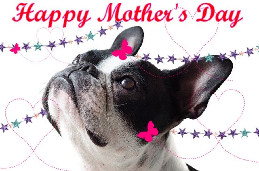 Mother's Day Card French Bulldog  