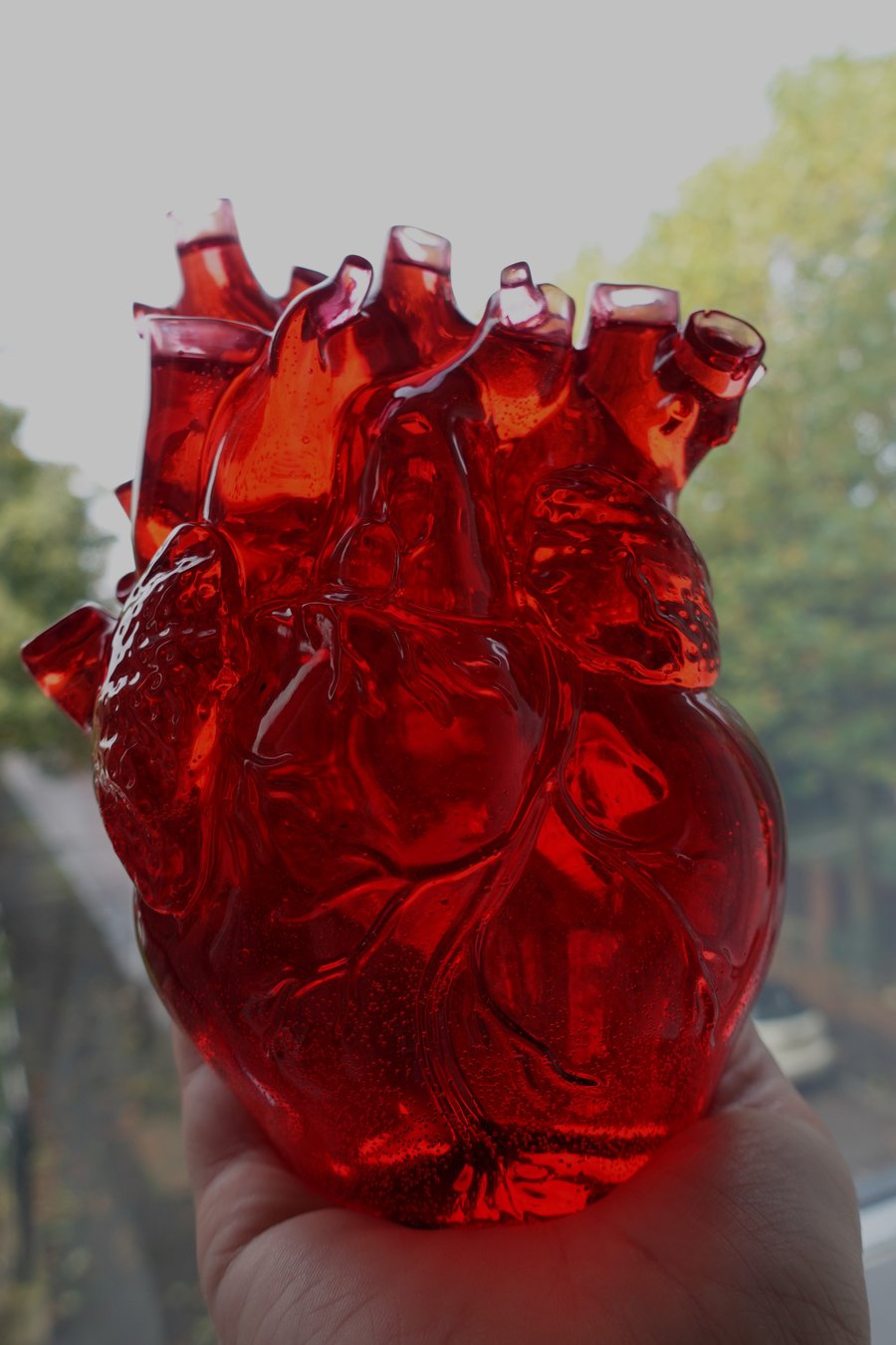 Anatomical heart for decoration