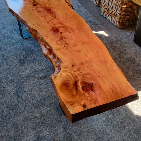  Live Edge Yew Coffee Table – Handcrafted with Natural Grain and Industrial Legs