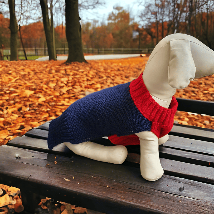 Red and blue knitted dog jumper