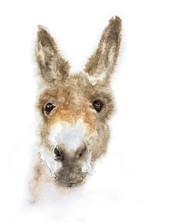 Gentle Donkey Giclée Watercolour Print
