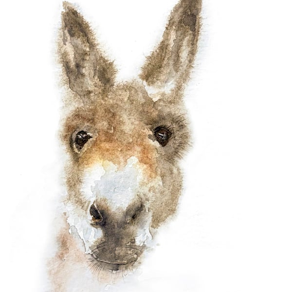 Gentle Donkey Giclée Watercolour Print