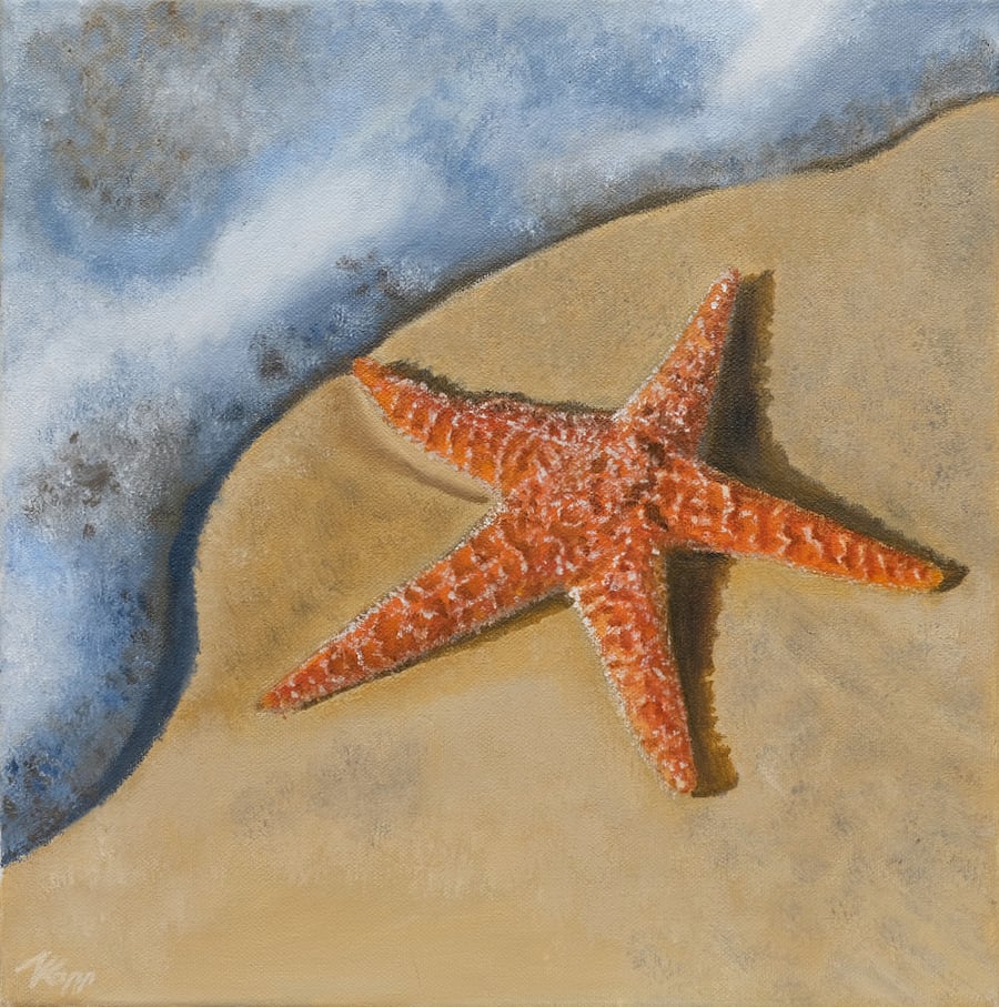 Starfish Oil Painting