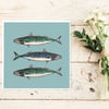 Cornish Mackerel Greetings Card - Blank